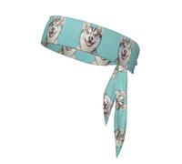 WZYWHJ Cute Husky Pattern Headbands,Sports Head Tie,Headband for Men and Women,Hair Band for Running Workout Football