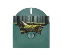 WZYWHJ Dark Green Holiday Greeting Card 6x4 in with Envelope for Christmas, Birthday, Valentine's Day, Party Invitation Moss on dead wood Printed
