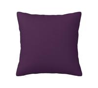 WZYWHJ Decorative Throw Pillow Cases 22"x22" Purple Eggplant Prints Double-Sided Design Square Pillowcases for Home Bed Sofa Living Room Farmhouse Outdoor