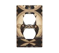 WZYWHJ Double socket decorative wall Plate - easy to Install - Ideal for Residential and Commercial Areas 4.5 X 2.76 In Steampunk Owl Pattern