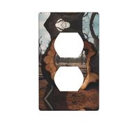 WZYWHJ Double socket decorative wall Plate - easy to Install - Ideal for Residential and Commercial Areas 4.5 X 2.76 In Hole in dead tree Printing