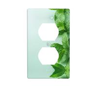 WZYWHJ Double socket decorative wall Plate - easy to Install - Ideal for Residential and Commercial Areas 4.5 X 2.76 In Fresh Mint Pattern