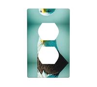 WZYWHJ Double socket decorative wall Plate - easy to Install - Ideal for Residential and Commercial Areas 4.5 X 2.76 In Brave Eagle Printed