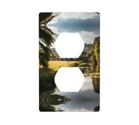 WZYWHJ Double socket decorative wall Plate - easy to Install - Ideal for Residential and Commercial Areas 4.5 X 2.76 In Chatsworth Estate Picture