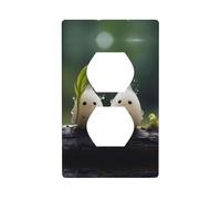 WZYWHJ Double socket decorative wall Plate - easy to Install - Ideal for Residential and Commercial Areas 4.5 X 2.76 In Little frost in the rain Printing