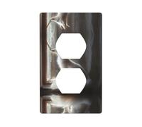 WZYWHJ Double socket decorative wall Plate - easy to Install - Ideal for Residential and Commercial Areas 4.5 X 2.76 In Smart white fox Picture