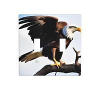 WZYWHJ Eagle With Wings Picture Decorative Wall Plate 4.5x4.5 Inches Durable and Stylish for Residential and Commercial Areas