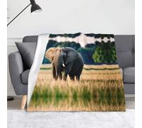 WZYWHJ Elephant in The Grassland Picture Blankets Throws - Lightweight Warm Comfortable Soft Durable Home Practical Rest Outdoor