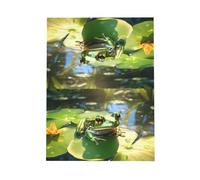 WZYWHJ Gray Holiday Greeting Card 6x4 in with Envelope for Christmas, Birthday, Valentine's Day, Party Invitation Crouching Frog Printed