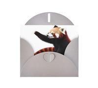 WZYWHJ Gray Holiday Greeting Card for Christmas, Birthday, Anniversary & more Red panda pattern Picture