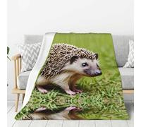 WZYWHJ Hedgehog Polkadot Pattern Thick flannel blanket 80x60in double-sided flannel vertical soft sofa blanket