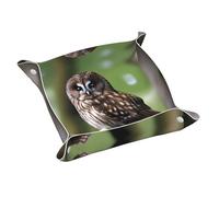 WZYWHJ Leather Storage Tray for Bedside Table, Desk, Dressing Table, and More - Easy to Clean Small Brown Owl Picture