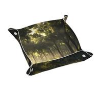 WZYWHJ Leather Storage Tray - Quality Scratch Resistant Waterproof Tray for Keys, Watches, Jewelry, and More M Primeval forest Picture