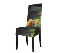WZYWHJ Loving Parrots on a Branch Printed Detachable Chair Cover Quick Installation and Easy Maintenance Suitable for Square Chair Backs