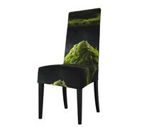 WZYWHJ Moss on The Rocks Printed Detachable Chair Cover Quick Installation and Easy Maintenance Suitable for Square Chair Backs