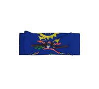 WZYWHJ North Dakota State Flag Printing baby bow headbands and elastic soft hair accessories for newborns and girls