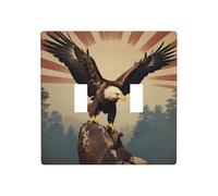 WZYWHJ Patriotic Eagle Printed Decorative Wall Plate 4.5x4.5 Inches Durable and Stylish for Residential and Commercial Areas