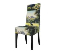 WZYWHJ Pigeons on The Grass Printed Detachable Chair Cover Quick Installation and Easy Maintenance Suitable for Square Chair Backs