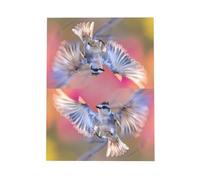 WZYWHJ Pink Holiday Greeting Card 6x4 in with Envelope for Christmas, Birthday, Valentine's Day, Party Invitation Bird in flight Printed