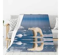 WZYWHJ Polar Bear Ice Pattern Thick flannel blanket 80x60in double-sided flannel vertical soft sofa blanket