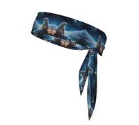 WZYWHJ Polar Bear Looking at The Stars Printed Headbands,Sports Head Tie,Headband for Men and Women,Hair Band for Running Workout Football