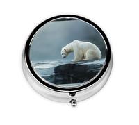 WZYWHJ Poor Polar Bear Looking at ice Pattern Circular Medicine Box Storage, Portable Travel with compartments, mini Pill Dispenser