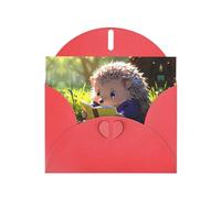 WZYWHJ Red Holiday Greeting Card for Christmas, Birthday, Anniversary & more Little hedgehog reading Picture