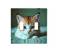 WZYWHJ Sad Kitten Printed Decorative Wall Plate 4.5x4.5 Inches Durable and Stylish for Residential and Commercial Areas