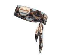 WZYWHJ Sea lion on the rocks Printed Headbands,Sports Head Tie, Headband for Men and Women, Hair Band for Running Workout Football