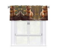 WZYWHJ Short Curtains with Valance Rod 54x18in Shy Little Squirrel Printed Easy to Install for Kitchen, Bathroom, Laundry Room, Studio