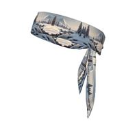 WZYWHJ Simple Snow Scene Pattern Headbands,Sports Head Tie,Headband for Men and Women,Hair Band for Running Workout Football