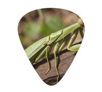 Wzywhj Sleeping Mantis Printed Guitar Picks 12 Piece, Easy Grip Uke Picks Hold In One'S Hands, Ukulele, Acoustic Or Electric Electric Guitar