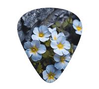 Wzywhj Small Flowers In The Cracks Of Rocks Printed Guitar Picks 12 Piece, Easy Grip Uke Picks Hold In One'S Hands, Ukulele, Acoustic Or Electric Electric Guitar