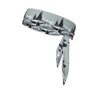 WZYWHJ Snow Scene Pattern Headbands,Sports Head Tie,Headband for Men and Women,Hair Band for Running Workout Football