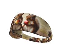 WZYWHJ Soft and Absorbent Headband for Red Basketball Workout - Ideal Hair Accessory for Yoga, Running, and More! Three squirrels eating apples Printed