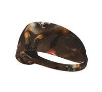 WZYWHJ Soft and Absorbent Headband for Red Basketball Workout - Ideal Hair Accessory for Yoga, Running, and More! Weasel Chasing a Chick Printed