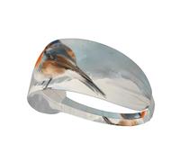 WZYWHJ Soft and Absorbent Headband for Red Basketball Workout - Ideal Hair Accessory for Yoga, Running, and More! Birds on The Snow Printing