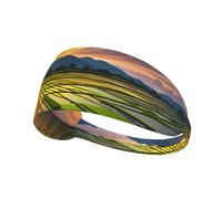 WZYWHJ Soft and Absorbent Headband for Red Basketball Workout - Ideal Hair Accessory for Yoga, Running, and More! Rice Paddy Field Sun Pattern