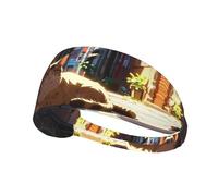 WZYWHJ Soft and Absorbent Headband for Red Basketball Workout - Ideal Hair Accessory for Yoga, Running, and More! Stray cat in The Alley Pattern