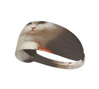 WZYWHJ Soft and Absorbent Headband for Red Basketball Workout - Ideal Hair Accessory for Yoga, Running, and More! Little White cat Eating Apple Printed