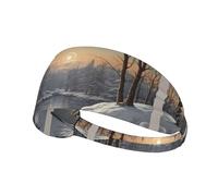 WZYWHJ Soft and Absorbent Headband for Red Basketball Workout - Ideal Hair Accessory for Yoga, Running, and More! The bitter cold winter Printed