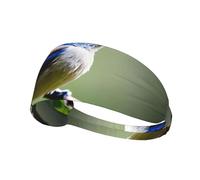 WZYWHJ Soft and Absorbent Headband for Red Basketball Workout - Ideal Hair Accessory for Yoga, Running, and More! Ethereal Nightingale Bird Picture