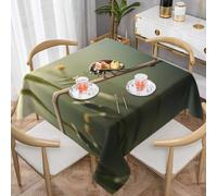 WZYWHJ Square decorative tablecloth 54"x54" tablecloths coffee table cloths Washable and reusable ladybug on a stick Printing