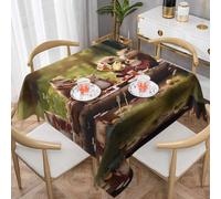 WZYWHJ Square decorative tablecloth 60"x60" tablecloths coffee table cloths Washable and reusable Animals on a picnic Printing