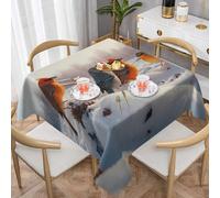 WZYWHJ Square Decorative Tablecloth 60"x60" tablecloths Coffee Table Cloths Washable and Reusable Birds on The Snow Printing