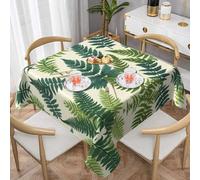 WZYWHJ Square Decorative Tablecloth 60"x60" tablecloths Coffee Table Cloths Washable and Reusable Encyclopedia of Ferns Prints