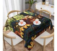WZYWHJ Square Decorative Tablecloth 60"x60" tablecloths Coffee Table Cloths Washable and Reusable Little Squirrel Picking Pine Cones Picture