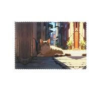 WZYWHJ Stray cat in The Alley Pattern Placemats for Dining Table Set of 6 Table mat 12x18 in for Party Kitchen Dining Decoration Washable Easy to Clean