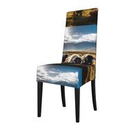 WZYWHJ The Cattle on The Grassland Printed Detachable Chair Cover Quick Installation and Easy Maintenance Suitable for Square Chair Backs