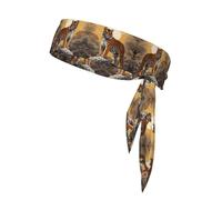 WZYWHJ Tiger Standing in The Sun Printed Headbands,Sports Head Tie,Headband for Men and Women,Hair Band for Running Workout Football